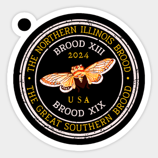 Cicada 2024 Event Brood XIX & XIII Emergence Sticker